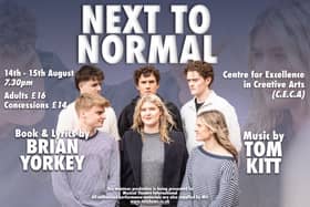 Next To Normal Landscape Poster