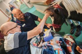 Hawthorns care home residents celebrate Cowboy Day with Tiny Tim, the therapy pony