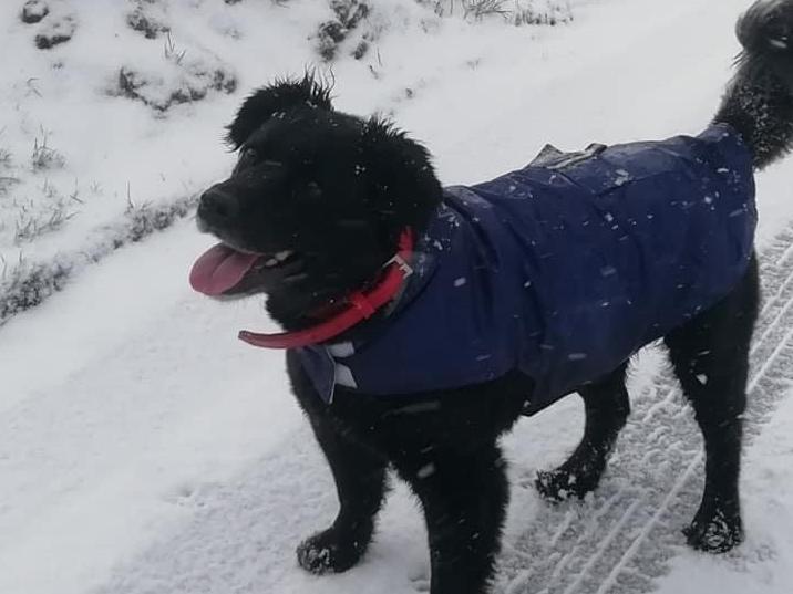 Wrap up warm before braving the elements
