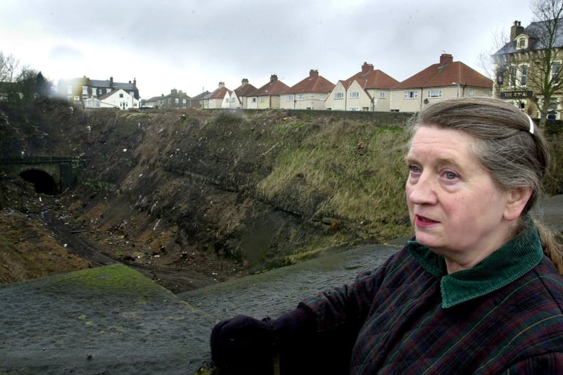 Margaret Halliday looks over a Pudsey railway cutting off Carlisle Road where an Otley construction company were planning to landfill for the next five years.