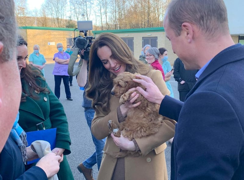 ROYAL VISIT IN PICTURES: Twelve of the best moments from Prince William and  Kate Middleton's visit to Clitheroe | Burnley Express
