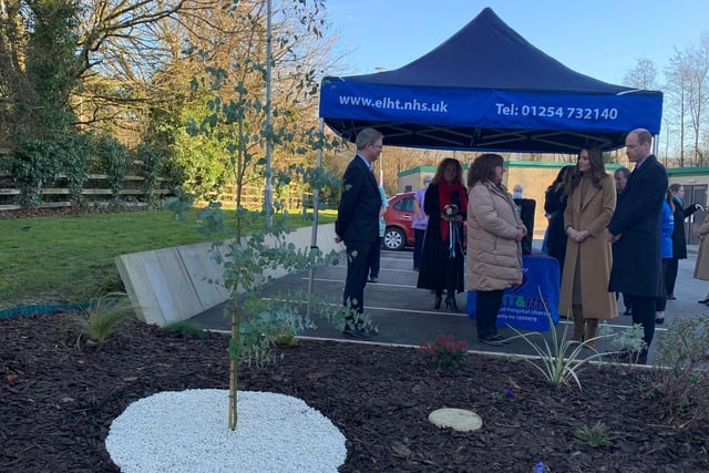 A memorial tree planted as a tribute to NHS staff who lost their lives during the pandemic