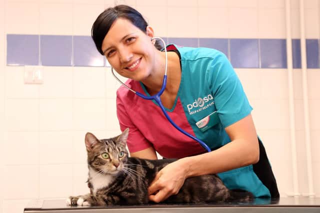 Ensuring your pet gets the best care PDSA (photo:  Alex Cantrill-Jones/ACJ Media)