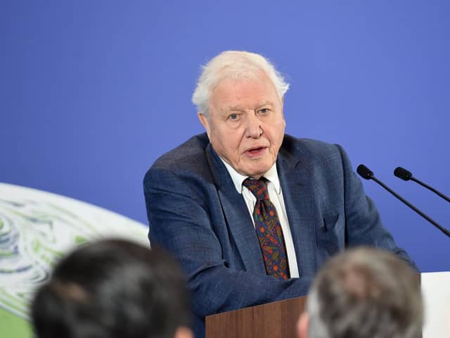 David Attenborough takes the top spot with 17 percent of votes from a pick of 30  celebrities