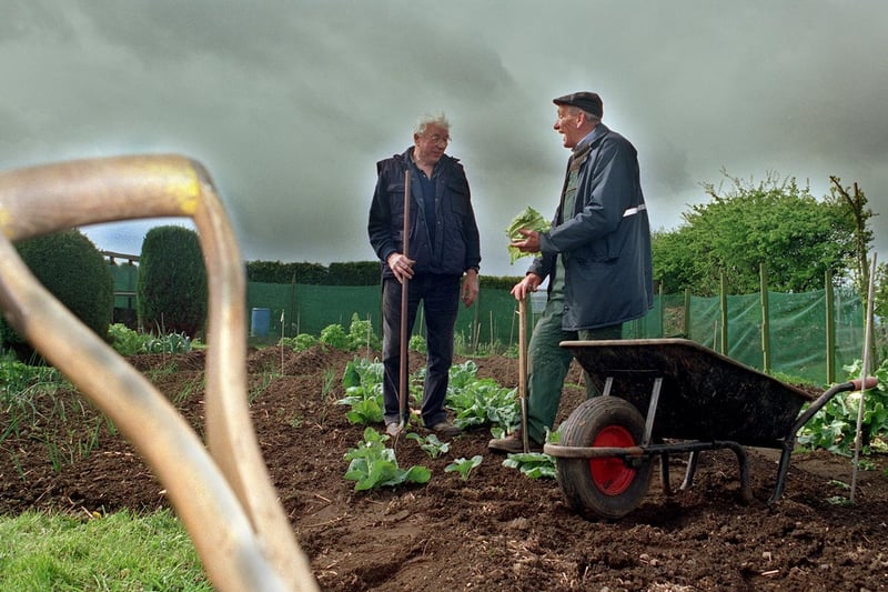 Green-fingered Bernard Broadbent (left) and Allan Gledhill  (right) stop for a chat whilst working on their allotments at Scotsman Lane.