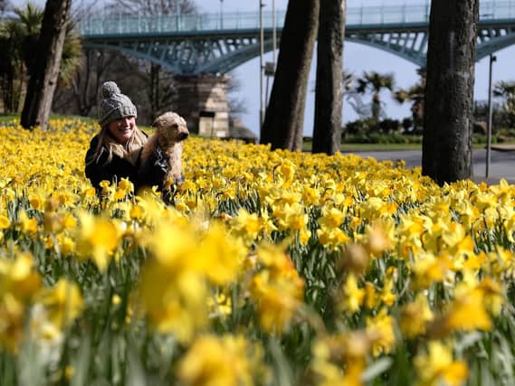 Enjoying the springtime colour with a friend