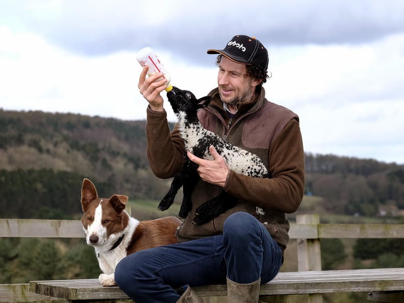 Ashley Tyson from Stepney Hill farm bottle feeds a lamb as his dog takes a rest.