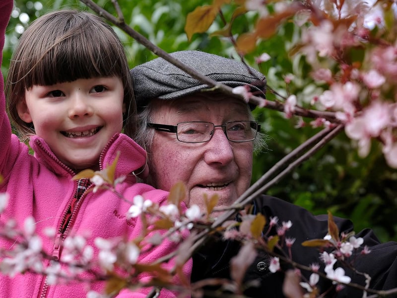 Granddaughter and Grandad enjoy the blossom.