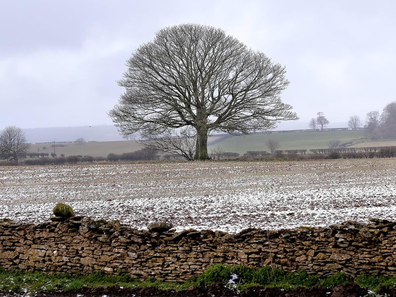 Wintry farmers fields.
