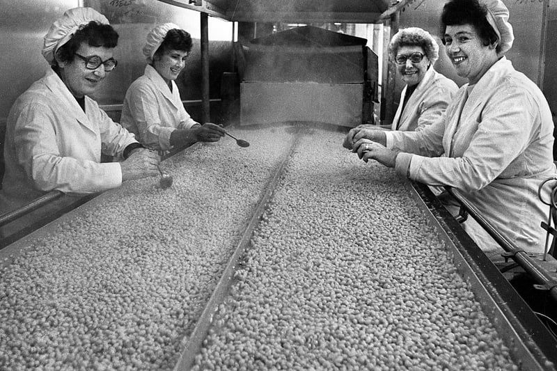 Ladies on the bean belt in the Heinz, Kitt Green, factory in November 1979.
