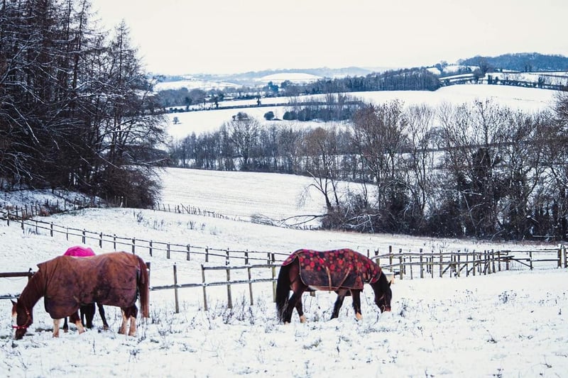 Bretch Hill winter scenery (photo by Szatmari Balogh Eszter)