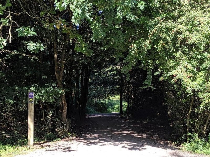 Top Lodge is at the entrance to Fineshade Woods. A great wood for all the family, really accessible too. Eco-facilities, nice children's play area, lovely walks and views, dog friendly, takeaway teas and coffees. The wonderful Fermynwoods gallery space ‘The Arches’ reopens here in May too.