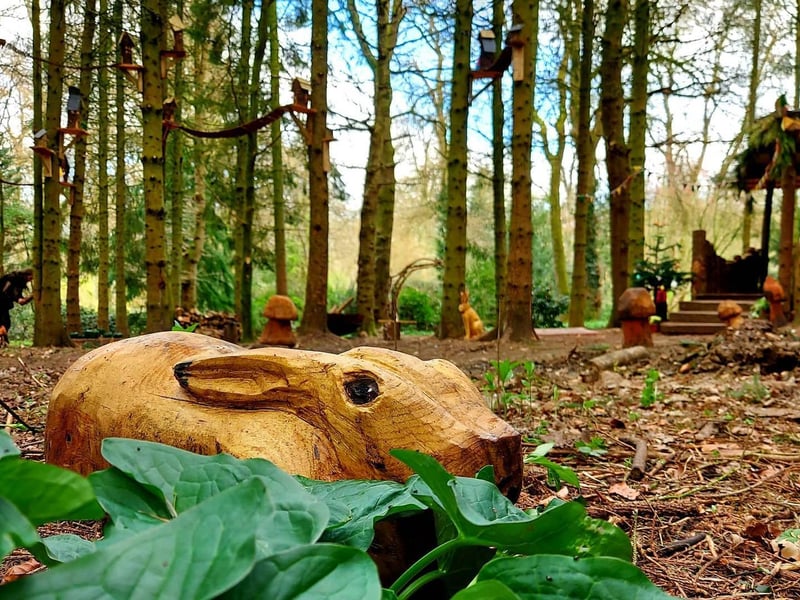 This beautiful, 60-acre private woodland is set in the heart of the Northamptonshire countryside near Brackley, and has stayed open throughout the past year. For families visiting this April, don’t miss takeaways from Uncle Geordie’s Shed, and the popular Easter Eggstravaganza (Easter Trail).