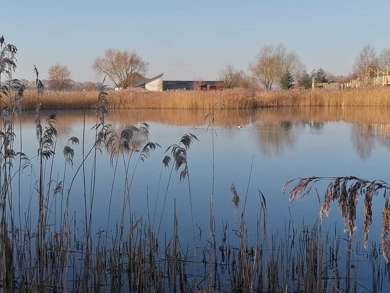 Stanwick Lakes is a hugely popular 750-acre attraction and nature reserve located in the heart of Northamptonshire’s Nene Valley, with extensive and imaginative play areas, open spaces and paths that families, walkers, cyclists and nature lovers can explore at leisure. As soon as restaurants reopen, combine with a visit to The Bell Inn, Finedon.