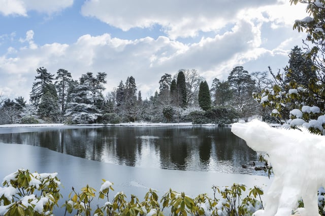 Sheffield Park is hosting Nellie's Arctic Adventure throughout half term. Learn about Nellie and her adventures and enjoy seeing an ice cave and giant polar bears on the lake.