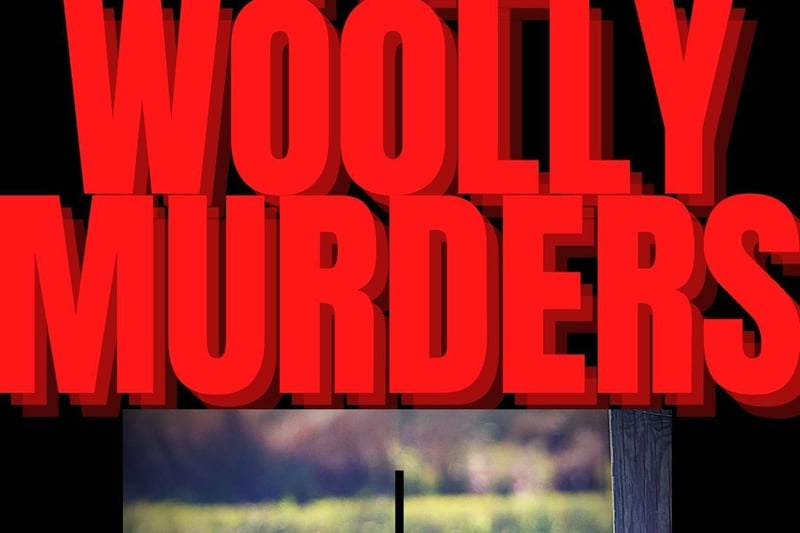 The Woolly Murders, book one in The Mike Malone Mysteries’ (20 book series) by Milly Reynolds.
