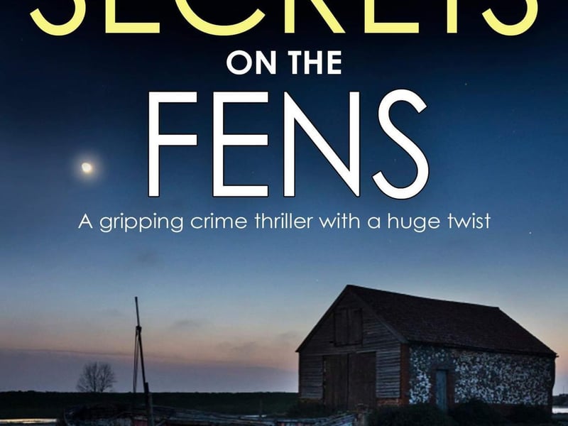 DI Nikki Galena series by Joy Ellis.