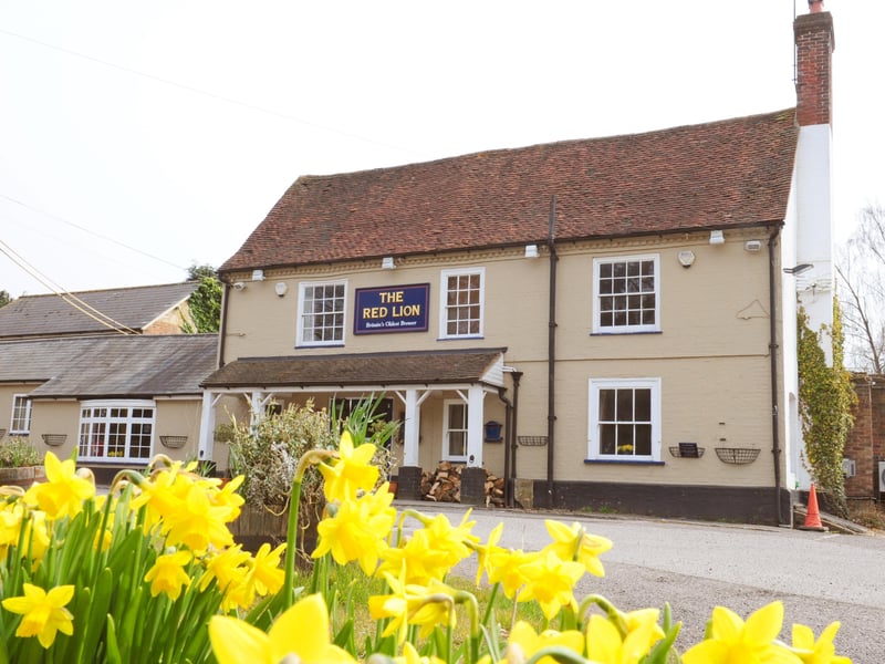 The Red Lion, Chelwood Gate. Picture: Derek Martin