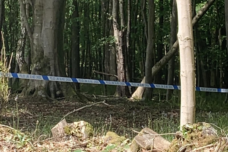 Police sectioned off an area of the woods. SUS-210206-125128001