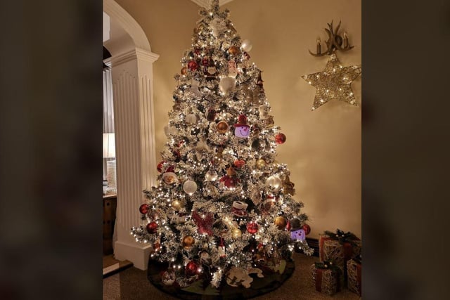 Lisa Galloway - This is My Mum's Christmas Tree she does it to perfection every year Anne Gilloway