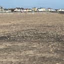 One of Hartlepool’s popular seasonal birds are due to return to Seaton Carew for another summer after making a 3000-mile trip from West Africa. Fencing has been put up around a special nesting site on the beach at Seaton Carew to prevent their nests from being disturbed.