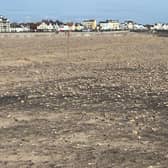 One of Hartlepool’s popular seasonal birds are due to return to Seaton Carew for another summer after making a 3000-mile trip from West Africa. Fencing has been put up around a special nesting site on the beach at Seaton Carew to prevent their nests from being disturbed.