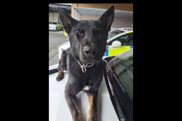 PD Rockey was called to a report of a disturbance at a car garage on Brenda Road in Hartlepool.