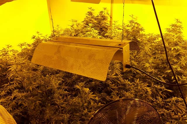 One of the rooms used to grow cannabis in the house in Sheriff Street.