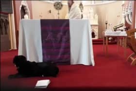Father Nick Jennings was joined by his dog Mitzu in the livestream from St Mary's Church.