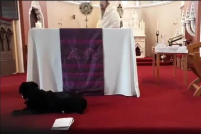Father Nick Jennings was joined by his dog Mitzu in the livestream from St Mary's Church.