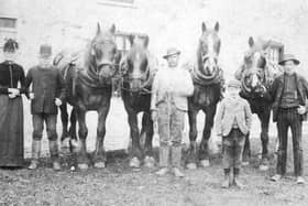 The Squince family at Foggy Furze Farm in the 1890s. Their descendants went on to have a large market garden and florist's shop, Layton's at Foggy Furze. Photo: Roger Stubbs.