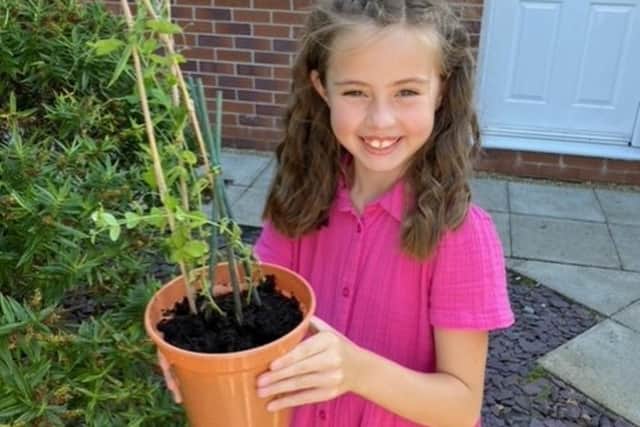 Charlotte Grayson, pupil at Sacred Heart Catholic Primary School, holds her winning pea plant.
