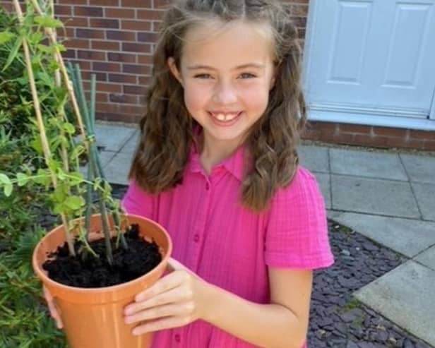 Charlotte Grayson, pupil at Sacred Heart Catholic Primary School, holds her winning pea plant.