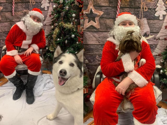 Ghost and Darla are on Santa's good list this year.