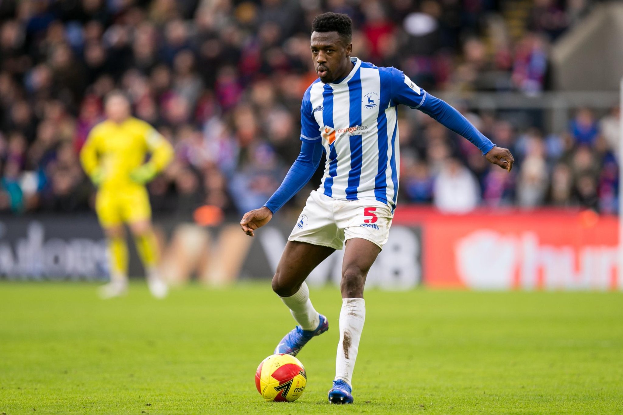 Former Norwich City defender Timi Odusina keen to use Crystal Palace  performance as a stepping stone for Hartlepool United | Hartlepool Mail