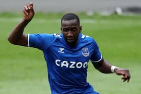 Middlesbrough have signed Yannick Bolasie on loan from Everton.