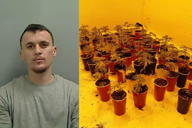 Saimir Ferati and some of the cannabis found in the house in Stephen Street, Hartlepool, in December 2022.