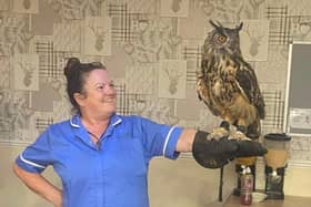 Queens Meadow Care Home senior carer, Julie Bartosiak holds a Eurasian eagle owl from Yorkshire-based Owl Adventures.