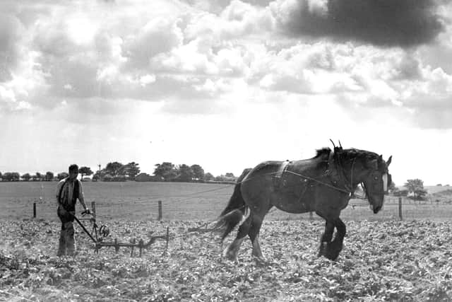 Ploughing the fields in the Hartlepool area.