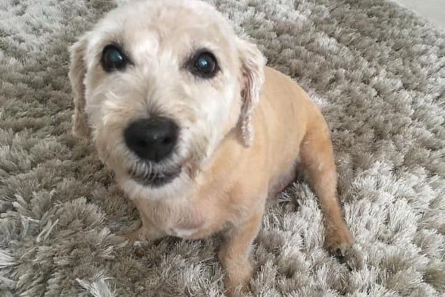 Benji, age 13, gives a cheeky smile for the camera!