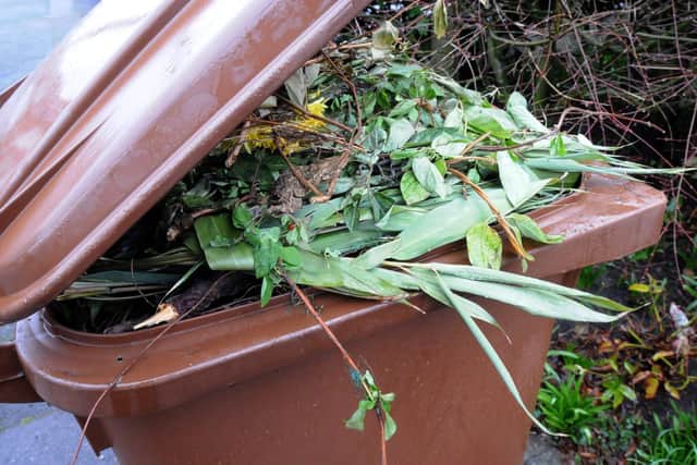 You can now register for garden waste collection services