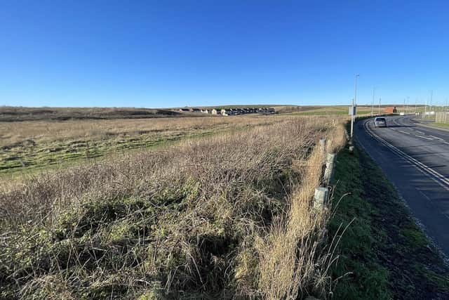 More than 150 new homes could be built on land in Coronation Drive, Seaton Carew.
