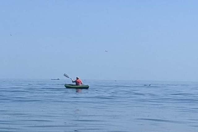 The dolphins joined John while he was kayaking./Photo: John Hughes
