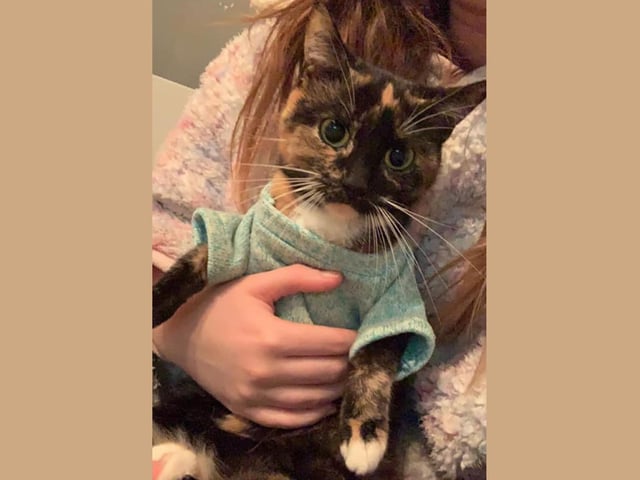 Lola was feeling the chill so she's wrapped up in her festive jumper.
