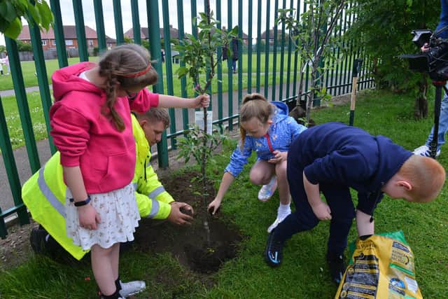 Headteacher Lauren Furness has said children have enjoyed planting the trees.
