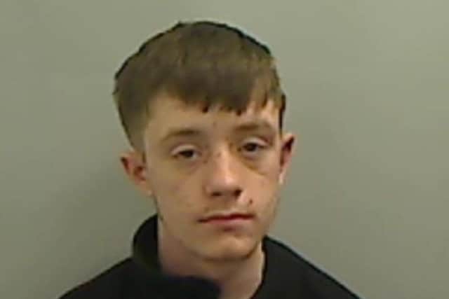 Hartlepool thug spat at police officer after biting man during assault