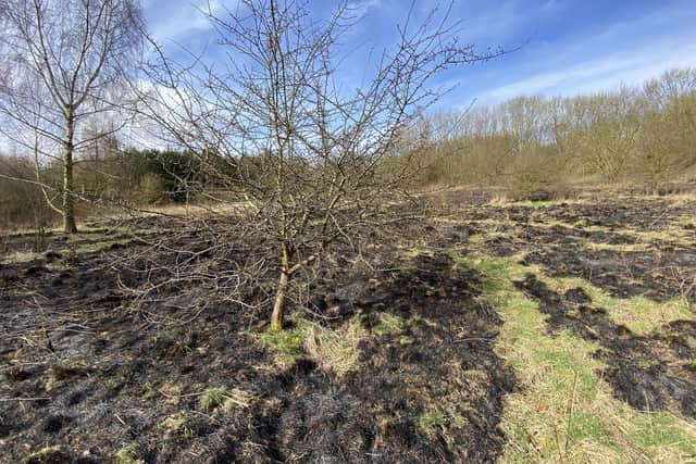 Scorched earth after an area of grassland at Summerhill Country Park, in Hartlepool, was set on fire earlier this year.