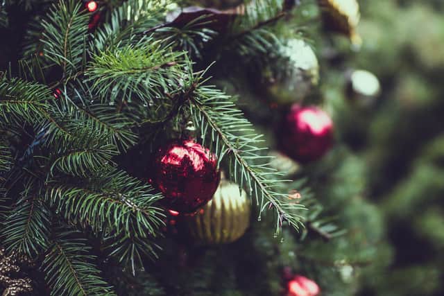 How to recycle your Christmas tree and where to take it in Hartlepool