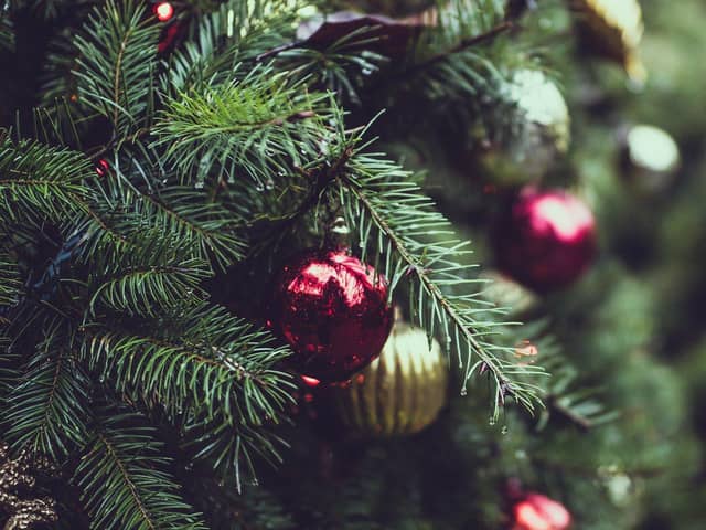 How to recycle your Christmas tree and where to take it in Hartlepool