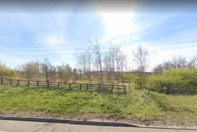 Scores of new homes could be built on this land on the outskirts of Hartlepool.